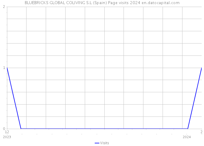 BLUEBRICKS GLOBAL COLIVING S.L (Spain) Page visits 2024 