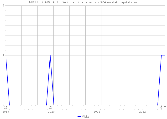 MIGUEL GARCIA BESGA (Spain) Page visits 2024 