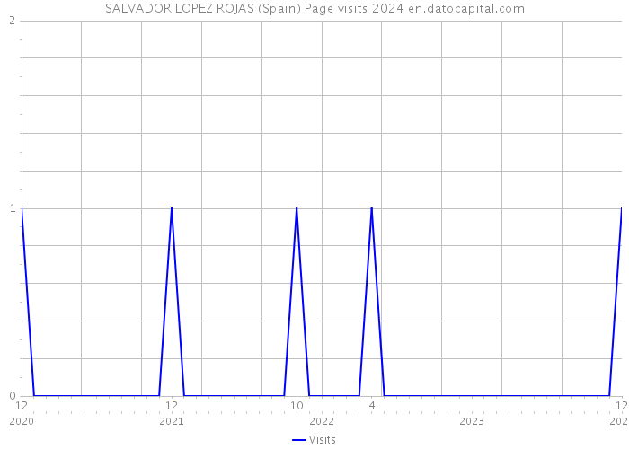 SALVADOR LOPEZ ROJAS (Spain) Page visits 2024 