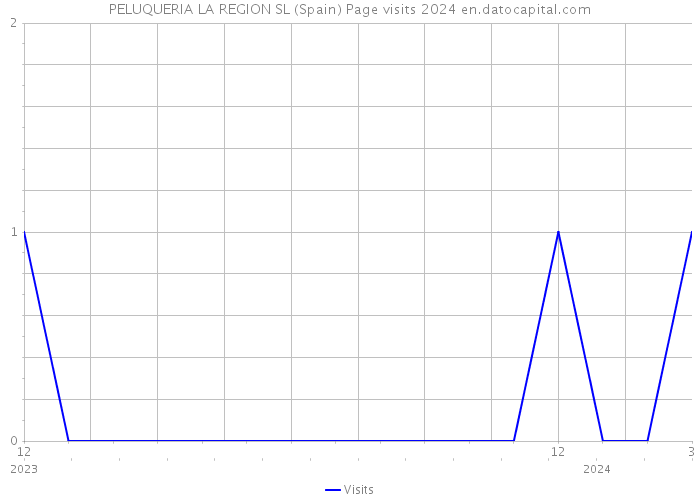 PELUQUERIA LA REGION SL (Spain) Page visits 2024 