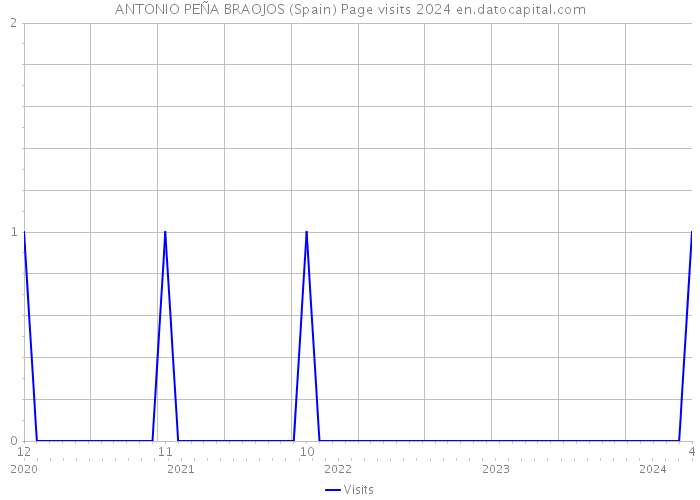 ANTONIO PEÑA BRAOJOS (Spain) Page visits 2024 