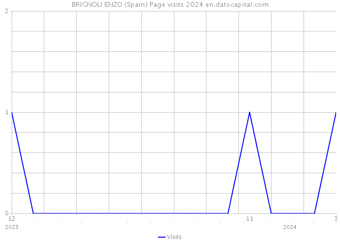 BRIGNOLI ENZO (Spain) Page visits 2024 