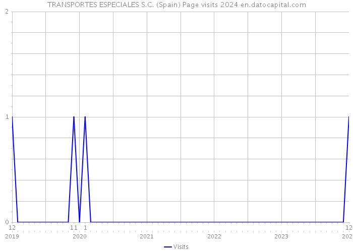 TRANSPORTES ESPECIALES S.C. (Spain) Page visits 2024 