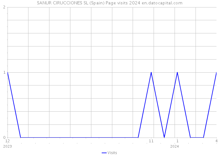 SANUR CIRUCCIONES SL (Spain) Page visits 2024 