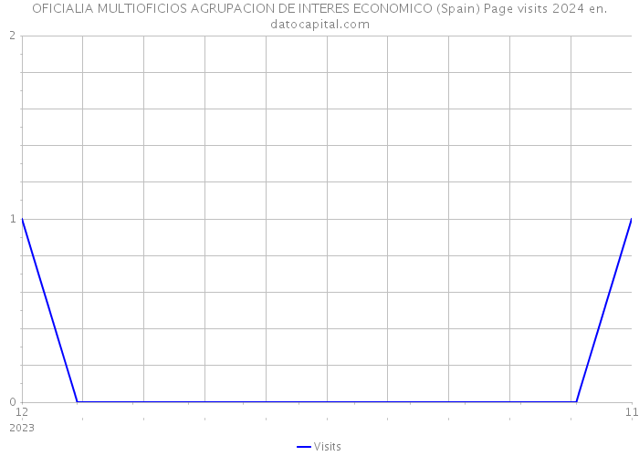 OFICIALIA MULTIOFICIOS AGRUPACION DE INTERES ECONOMICO (Spain) Page visits 2024 
