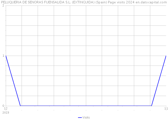 PELUQUERIA DE SENORAS FUENSALIDA S.L. (EXTINGUIDA) (Spain) Page visits 2024 