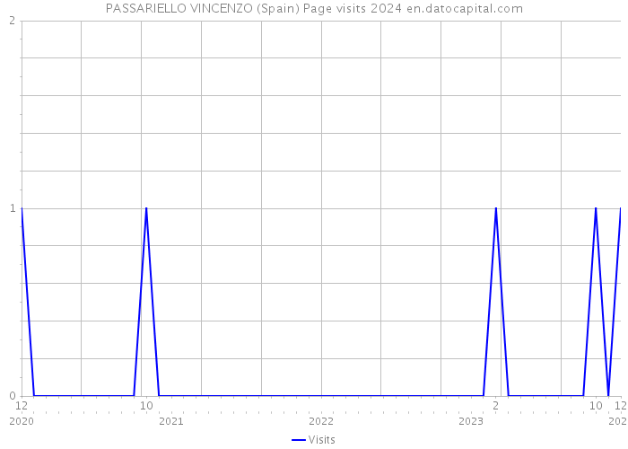 PASSARIELLO VINCENZO (Spain) Page visits 2024 