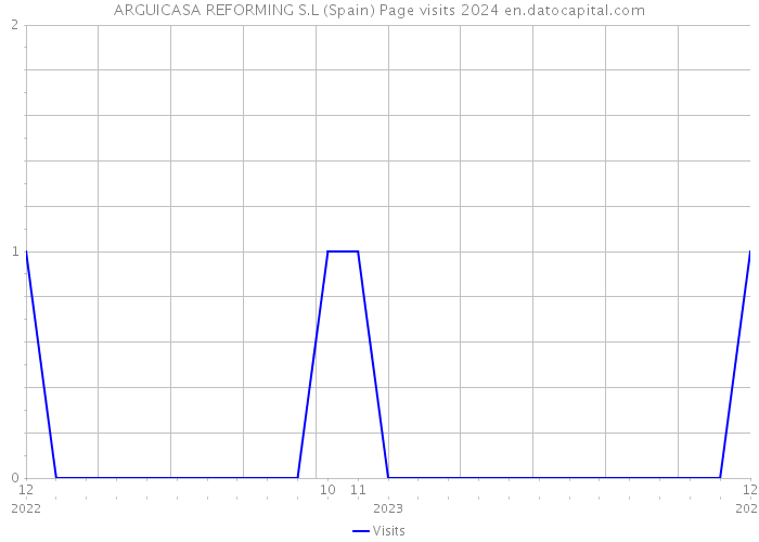 ARGUICASA REFORMING S.L (Spain) Page visits 2024 