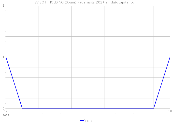BV BOTI HOLDING (Spain) Page visits 2024 