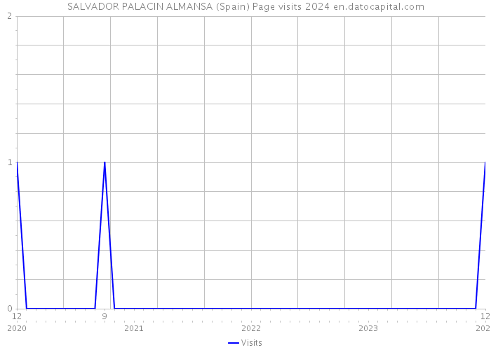 SALVADOR PALACIN ALMANSA (Spain) Page visits 2024 