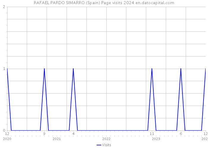 RAFAEL PARDO SIMARRO (Spain) Page visits 2024 