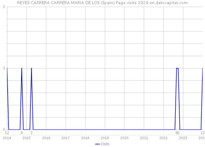 REYES CARRERA CARRERA MARIA DE LOS (Spain) Page visits 2024 