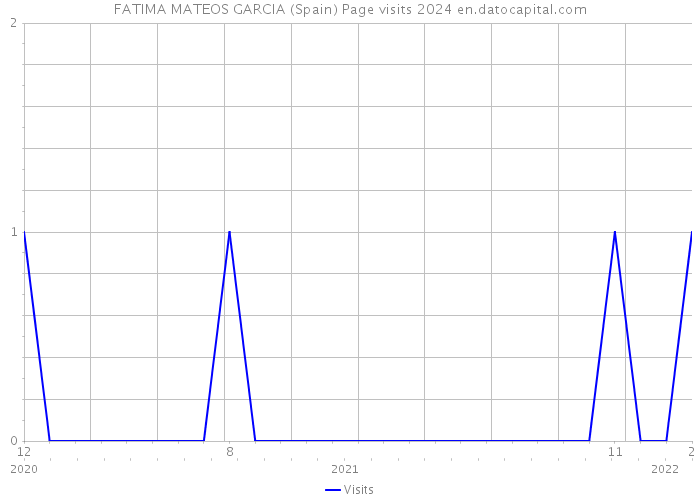 FATIMA MATEOS GARCIA (Spain) Page visits 2024 