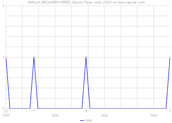 AMALIA REGADERA PEREZ (Spain) Page visits 2024 