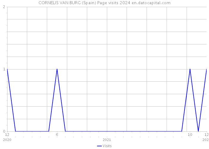 CORNELIS VAN BURG (Spain) Page visits 2024 