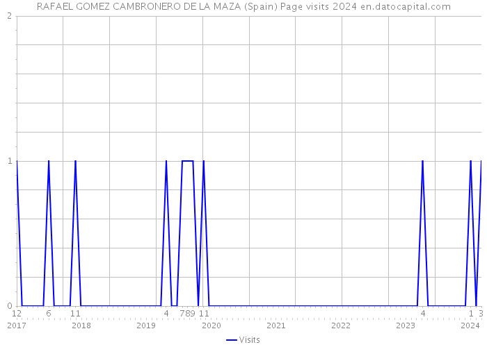 RAFAEL GOMEZ CAMBRONERO DE LA MAZA (Spain) Page visits 2024 
