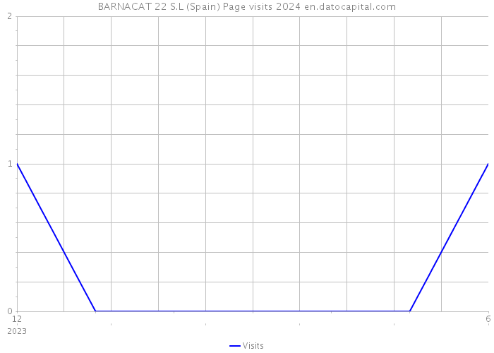 BARNACAT 22 S.L (Spain) Page visits 2024 