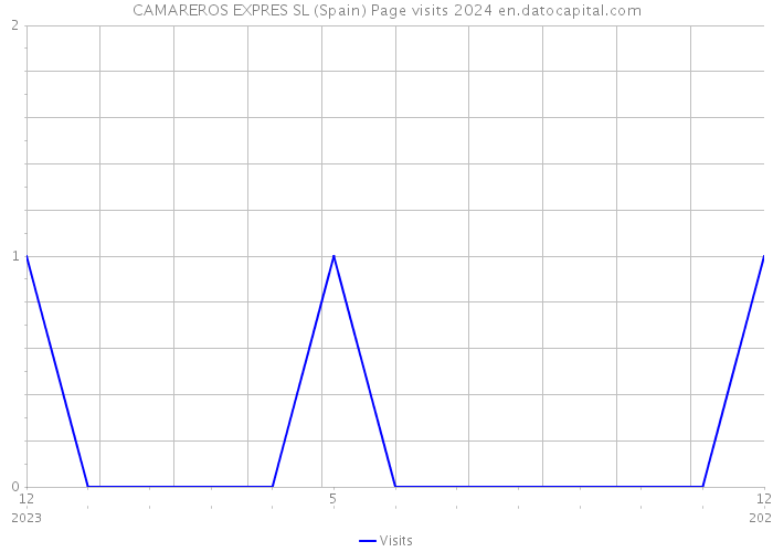 CAMAREROS EXPRES SL (Spain) Page visits 2024 