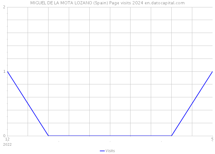 MIGUEL DE LA MOTA LOZANO (Spain) Page visits 2024 