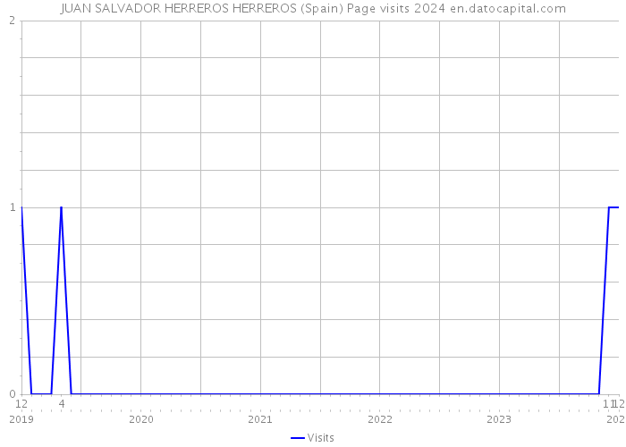 JUAN SALVADOR HERREROS HERREROS (Spain) Page visits 2024 