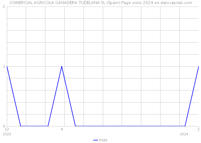 COMERCIAL AGRICOLA GANADERA TUDELANA SL (Spain) Page visits 2024 