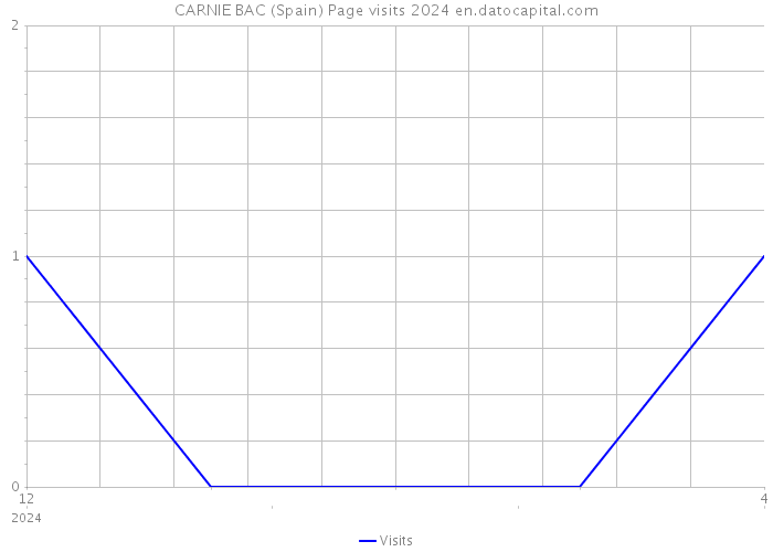 CARNIE BAC (Spain) Page visits 2024 