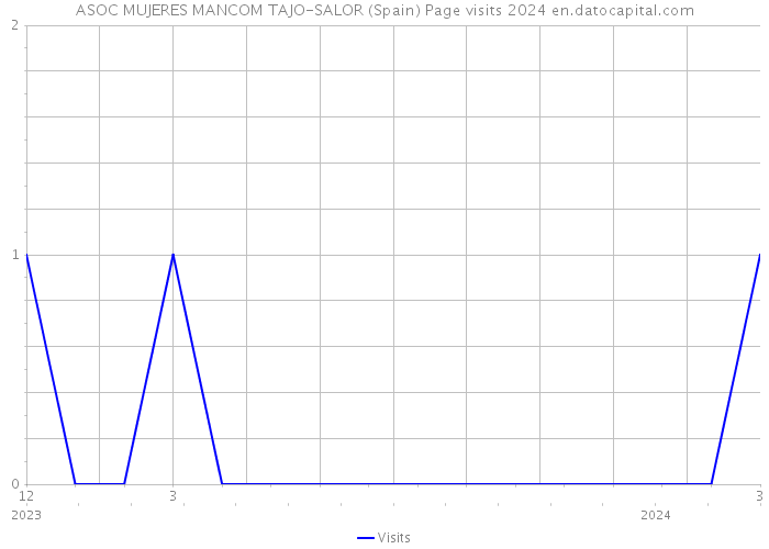 ASOC MUJERES MANCOM TAJO-SALOR (Spain) Page visits 2024 