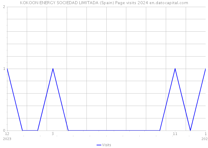 KOKOON ENERGY SOCIEDAD LIMITADA (Spain) Page visits 2024 
