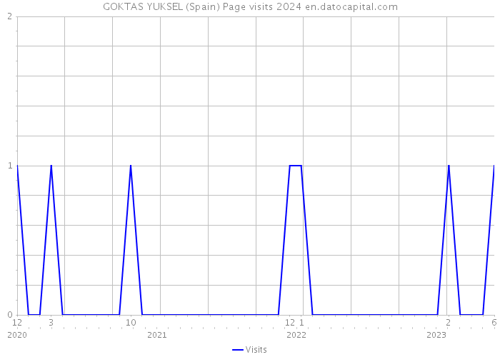 GOKTAS YUKSEL (Spain) Page visits 2024 