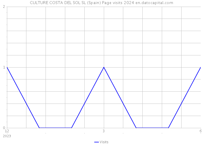 CULTURE COSTA DEL SOL SL (Spain) Page visits 2024 