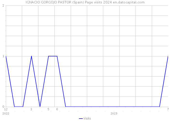 IGNACIO GORGOJO PASTOR (Spain) Page visits 2024 