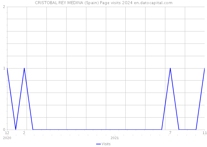 CRISTOBAL REY MEDINA (Spain) Page visits 2024 