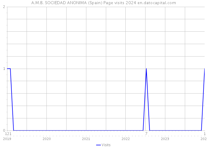 A.M.B. SOCIEDAD ANONIMA (Spain) Page visits 2024 