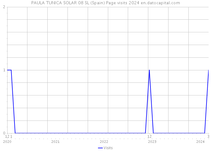 PAULA TUNICA SOLAR 08 SL (Spain) Page visits 2024 