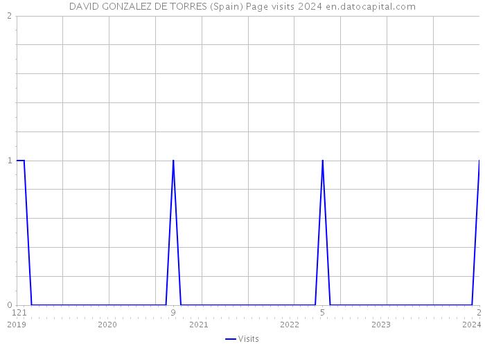 DAVID GONZALEZ DE TORRES (Spain) Page visits 2024 