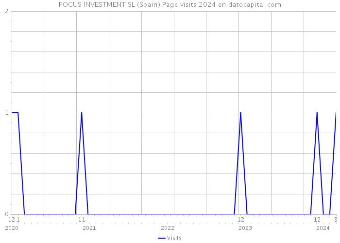 FOCUS INVESTMENT SL (Spain) Page visits 2024 