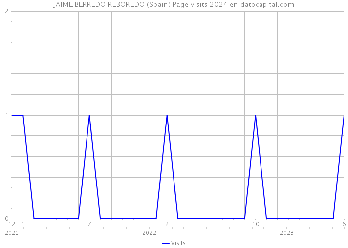 JAIME BERREDO REBOREDO (Spain) Page visits 2024 