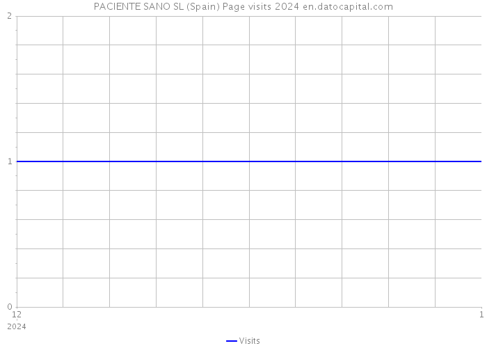 PACIENTE SANO SL (Spain) Page visits 2024 