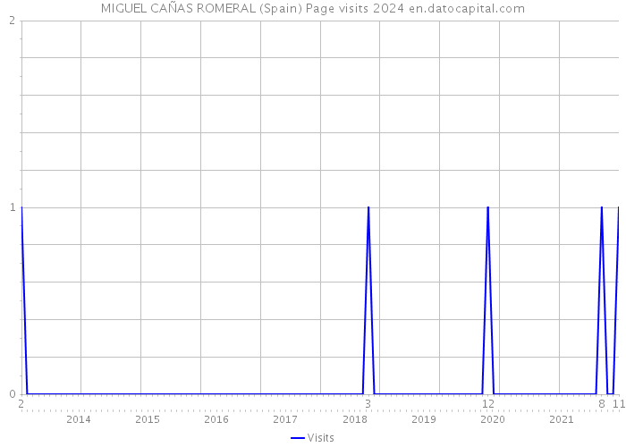MIGUEL CAÑAS ROMERAL (Spain) Page visits 2024 