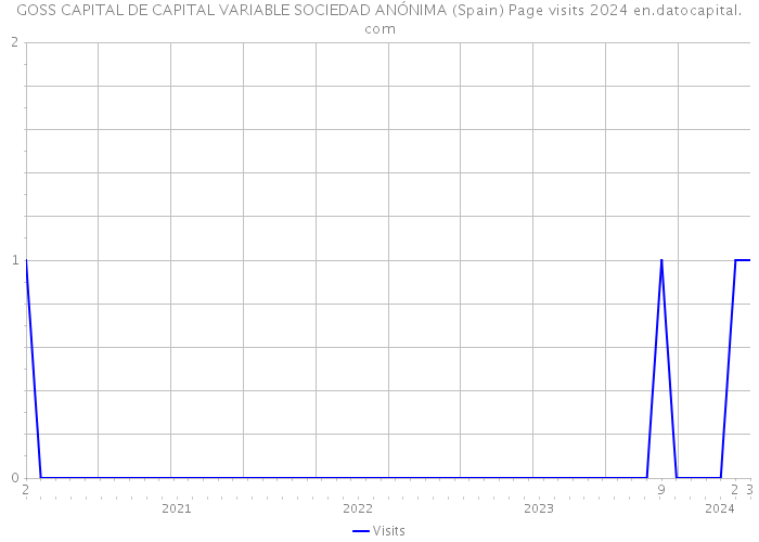GOSS CAPITAL DE CAPITAL VARIABLE SOCIEDAD ANÓNIMA (Spain) Page visits 2024 