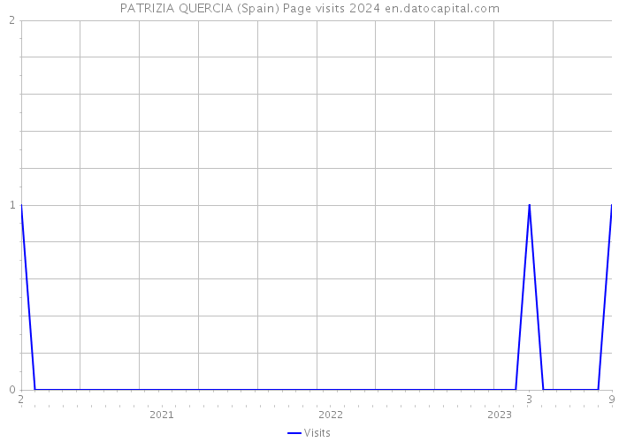 PATRIZIA QUERCIA (Spain) Page visits 2024 