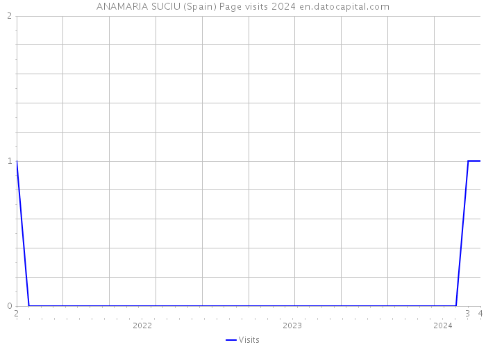 ANAMARIA SUCIU (Spain) Page visits 2024 