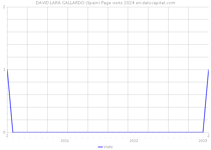 DAVID LARA GALLARDO (Spain) Page visits 2024 