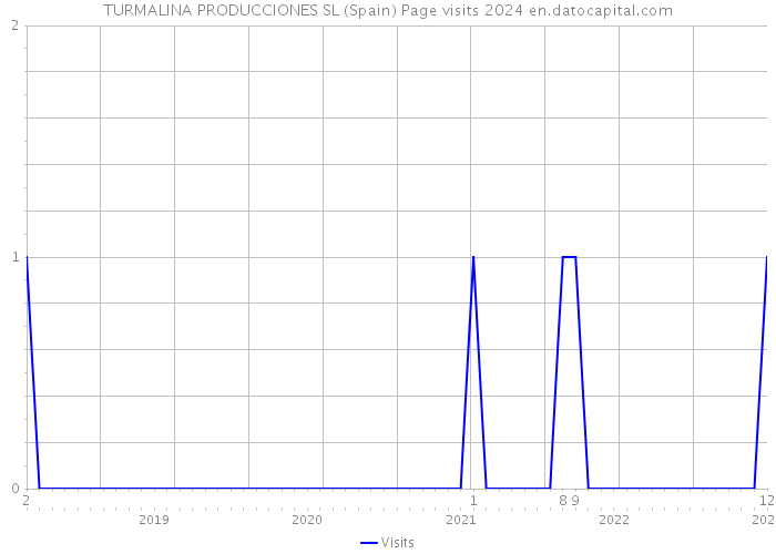 TURMALINA PRODUCCIONES SL (Spain) Page visits 2024 