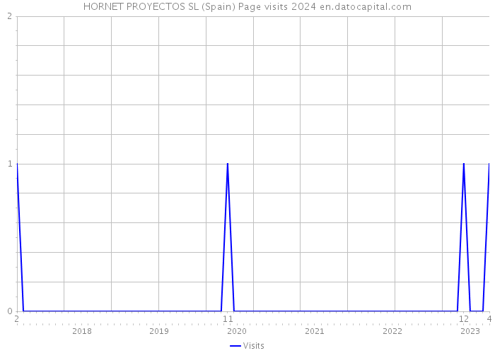 HORNET PROYECTOS SL (Spain) Page visits 2024 