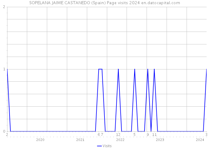SOPELANA JAIME CASTANEDO (Spain) Page visits 2024 