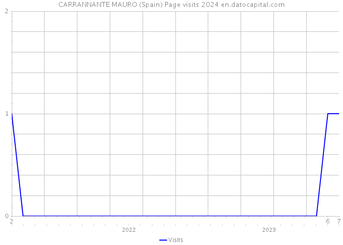 CARRANNANTE MAURO (Spain) Page visits 2024 