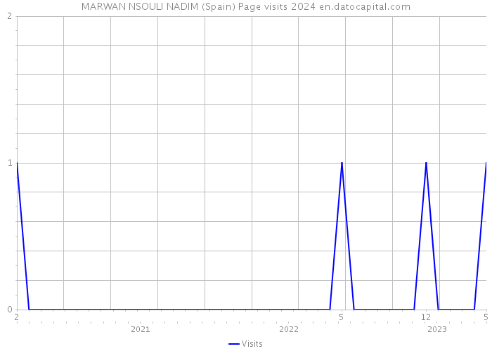 MARWAN NSOULI NADIM (Spain) Page visits 2024 