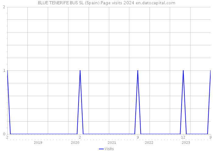 BLUE TENERIFE BUS SL (Spain) Page visits 2024 