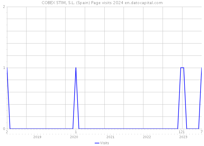COBEX STIM, S.L. (Spain) Page visits 2024 